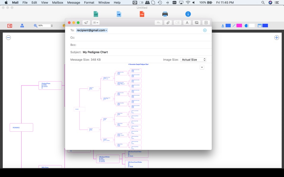 #5. Pedigree Chart Maker (macOS) 由: IW Technologies LLC