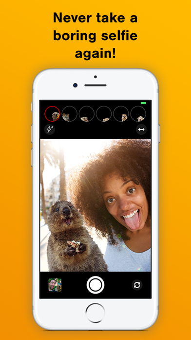 Quokka Selfieのおすすめ画像4