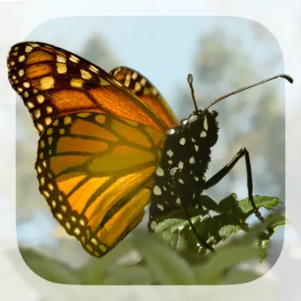 Brian Cox's Wonders of Life Читы