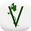 Ivy Financial