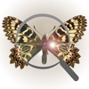 Butterflynder icon