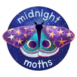 Midnight Moth Bedtime Stickers