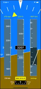 Flight Gauges screenshot #1 for iPhone