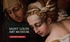 SC Saint Louis Art Museum