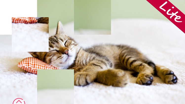 Kittens Lite - Easy Puzzle screenshot-3