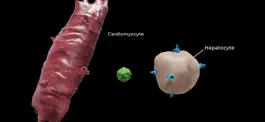 Game screenshot Turning Genes into Medicine hack