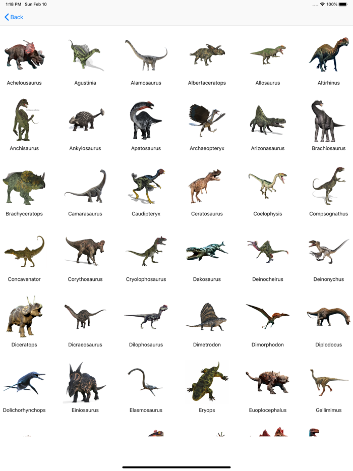 Dinosaurs Reference Book