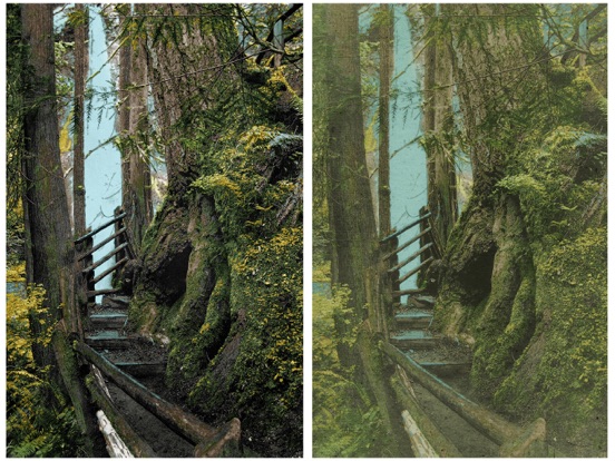 Hand Tint Pro iPad screenshot 7 - Photo & Video app