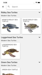 Reptiles & Amphibians of NA screenshot