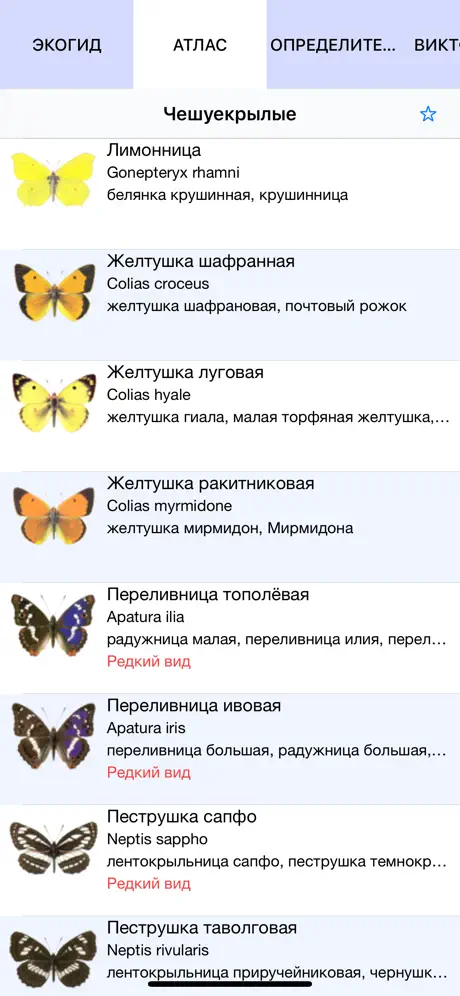 Экогид - Бабочки