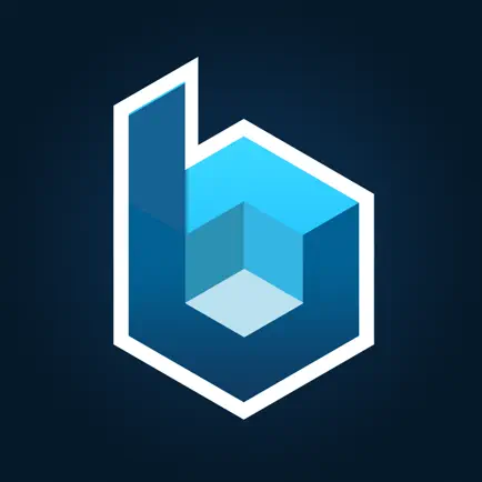 Brikkin Читы