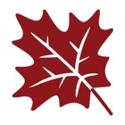 Instant Maple Mobile Banking