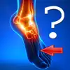 Anatomy Foot Quiz App Feedback