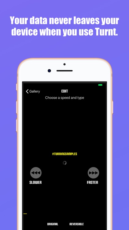 Turnt - Reversible Tiny Videos screenshot-3