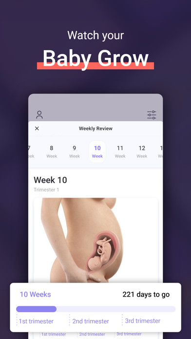 PREGGY - Premium Pregnancy App Screenshot
