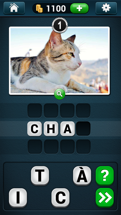 Screenshot #2 pour PicWords™