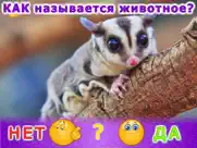 Животные для детей и малышей 2 айпад изображения 3