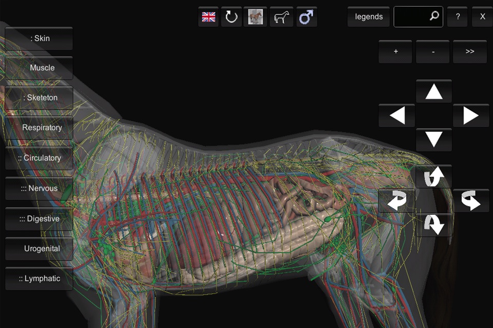 3D Horse Anatomy Software screenshot 2