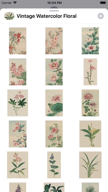 Floral Vintage Watercolors