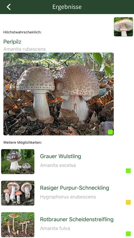 PilzSnap - Pilze sammeln! screenshot 5 of 10