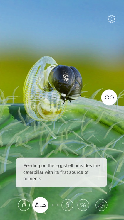 Butterfly Story screenshot-4