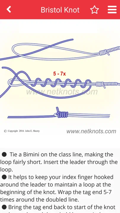 Net Knots iPhone Ekran Görüntüsü 5