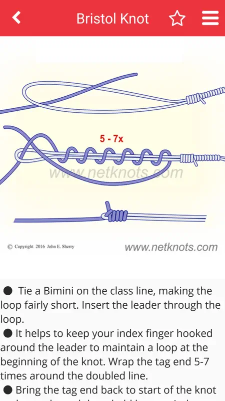 Net Knots screenshot 5 of 6