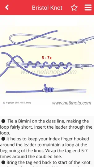 Скриншот Net Knots на iPhone 5