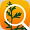 Explore free edible plants in your backyard The ultimate foraging guide : identify, cultivate, and prepare over 250 plants