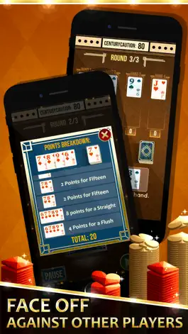 Game screenshot Cribbage Solitaire apk