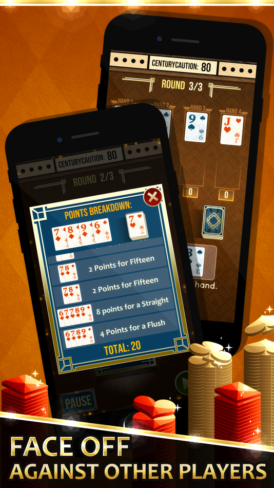 #2. Cribbage Solitaire (iOS) 来自: North Sky Games