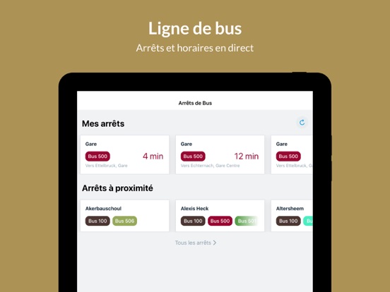 Screenshot #6 pour Ville de Diekirch
