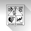 Recaudación Sonora icon