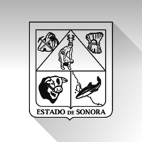 Recaudación Sonora