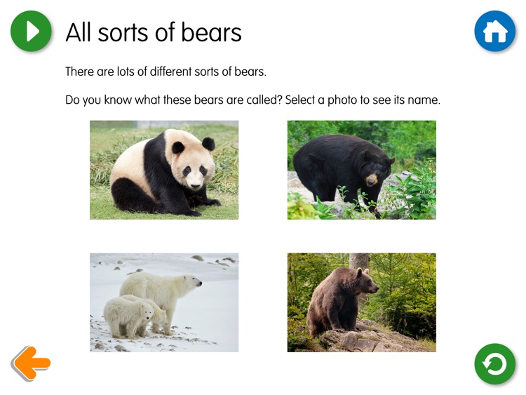 Goldilocks - UK screenshot-3