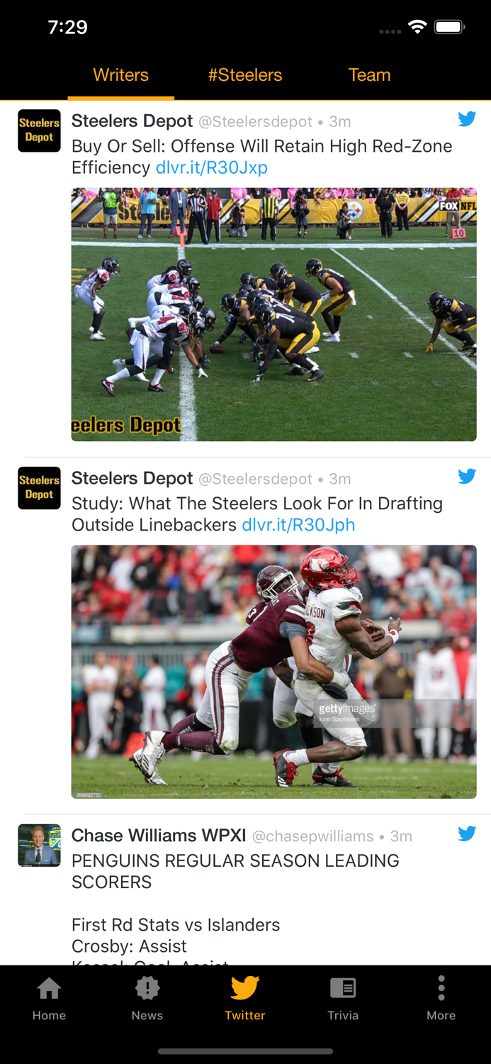 Steelers UltimateFan