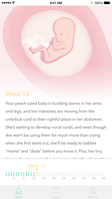 Screenshot #3 pour Pregnancy Tracker ‎