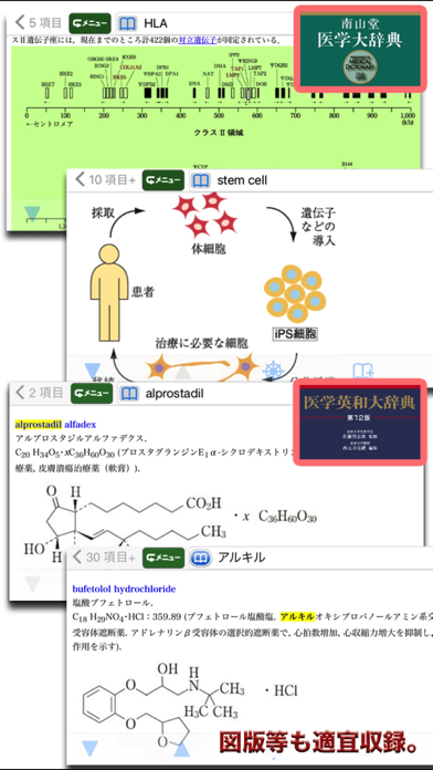 南山堂医学大辞典 第19版・医学英和大辞典... screenshot1