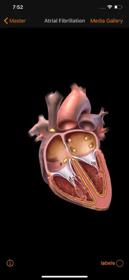 Game screenshot CardioSmart Heart Explorer hack
