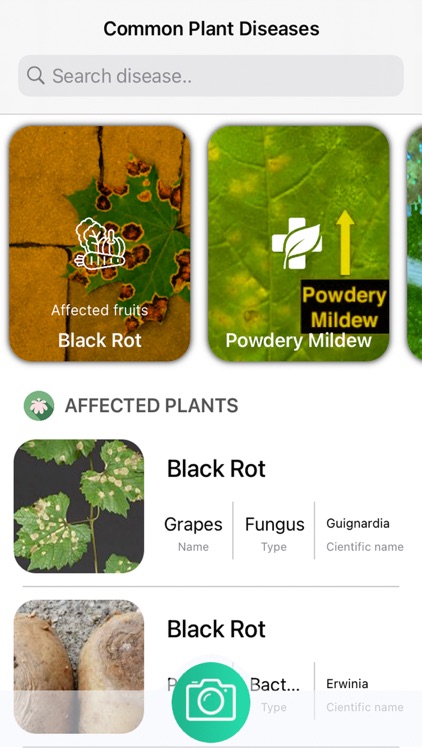 Plants Diseases Identifier screenshot-3