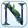 Newman’s Birds of Africa - App Developer Studio Cc