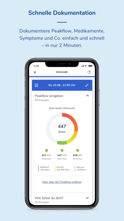 breazyTrack - die Asthma-App screenshot-3