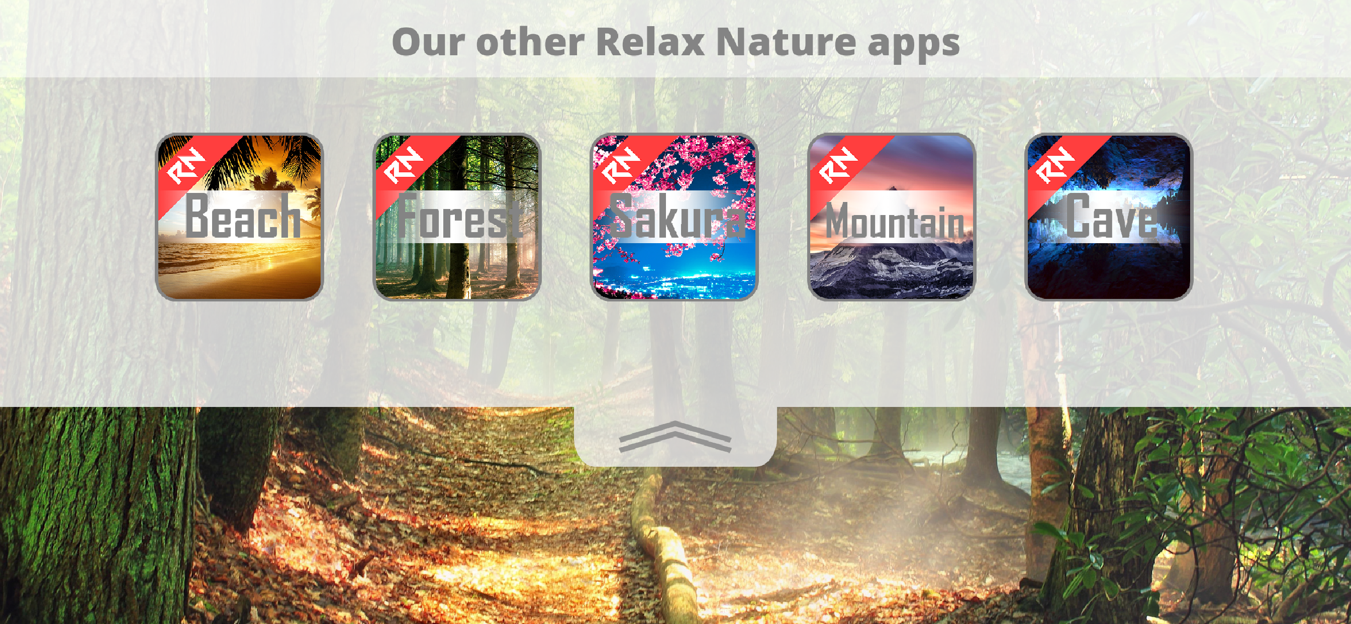 Relax Nature: Forest