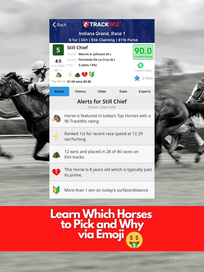 TrackWiz - Horse Race Betting
