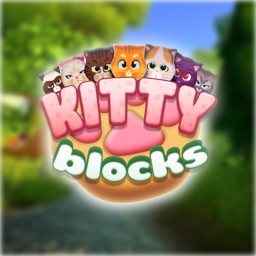 Funny Kitty Blocks