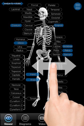 Skeletal Anatomy 3Dのおすすめ画像1
