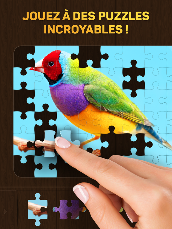 Screenshot #4 pour Jigsaw Puzzle Guru