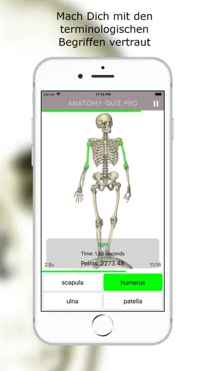 Screenshot von Anatomie Quiz Lite auf dem iPhone 1