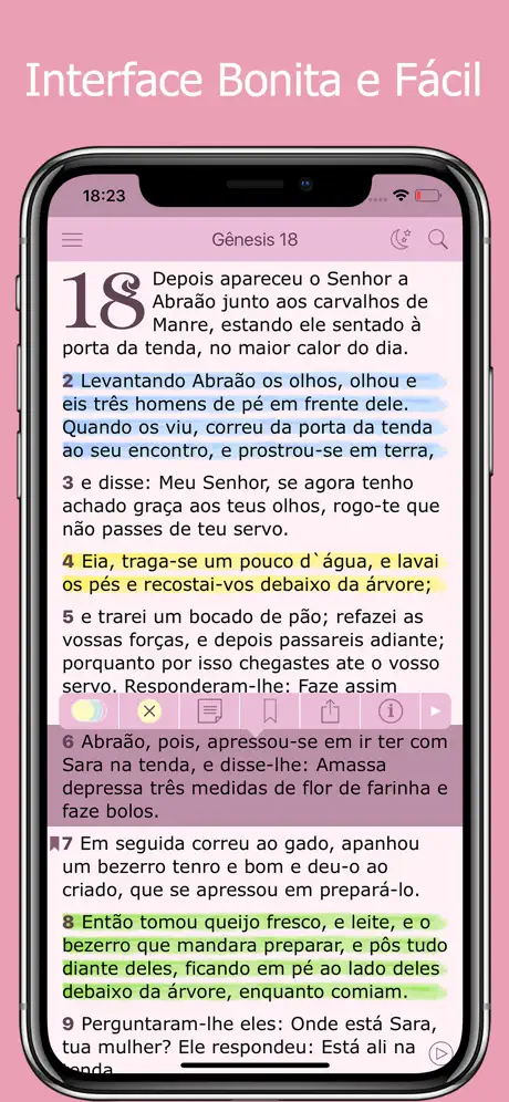 Bíblia da Mulher em Português
