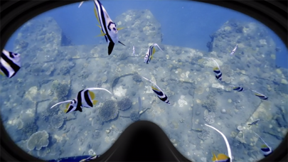 Rotary VR Screenshot